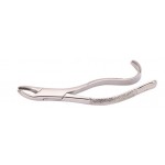 Woodpecker Extracting Forcep 15